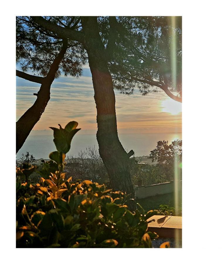 B&B Ioli Vesuvio Ercolano Dış mekan fotoğraf