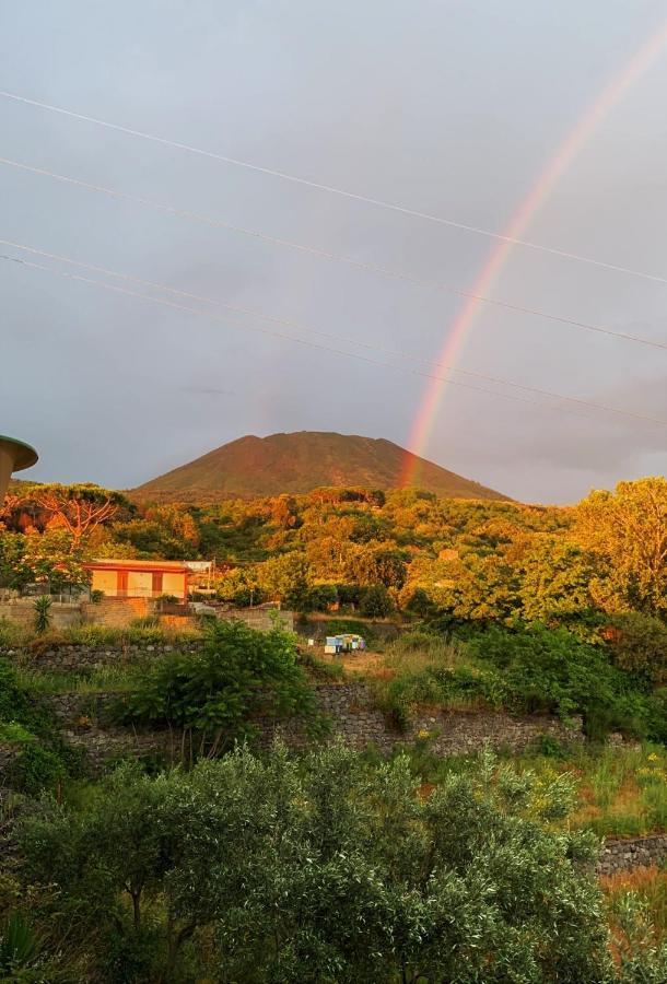 B&B Ioli Vesuvio Ercolano Dış mekan fotoğraf