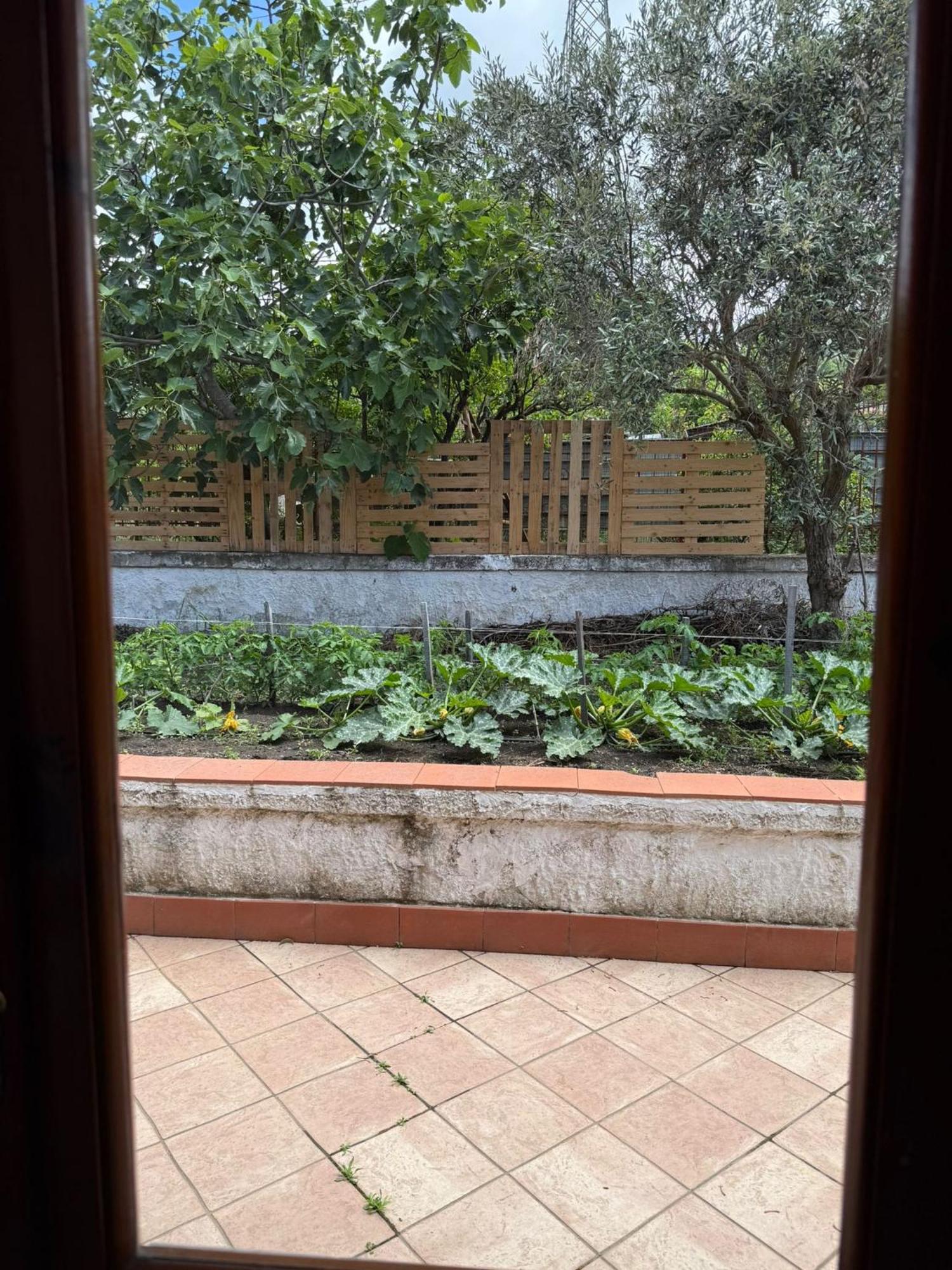 B&B Ioli Vesuvio Ercolano Dış mekan fotoğraf