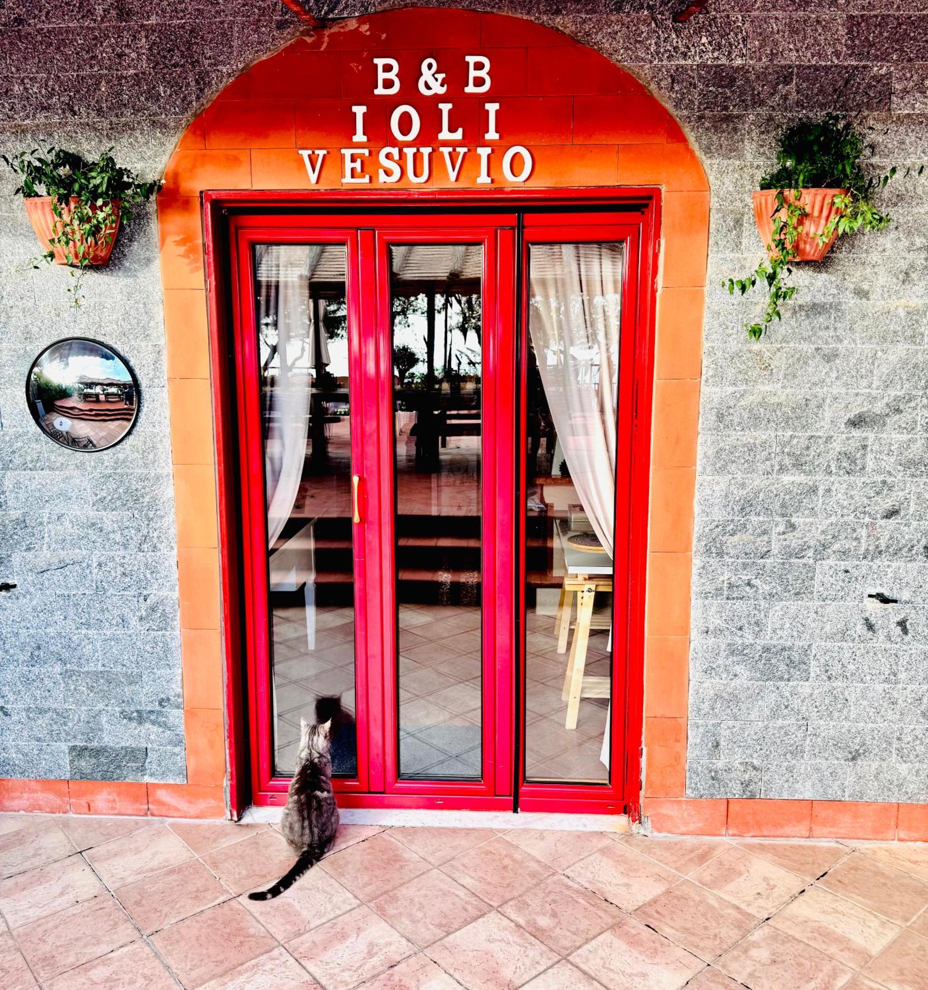 B&B Ioli Vesuvio Ercolano Dış mekan fotoğraf